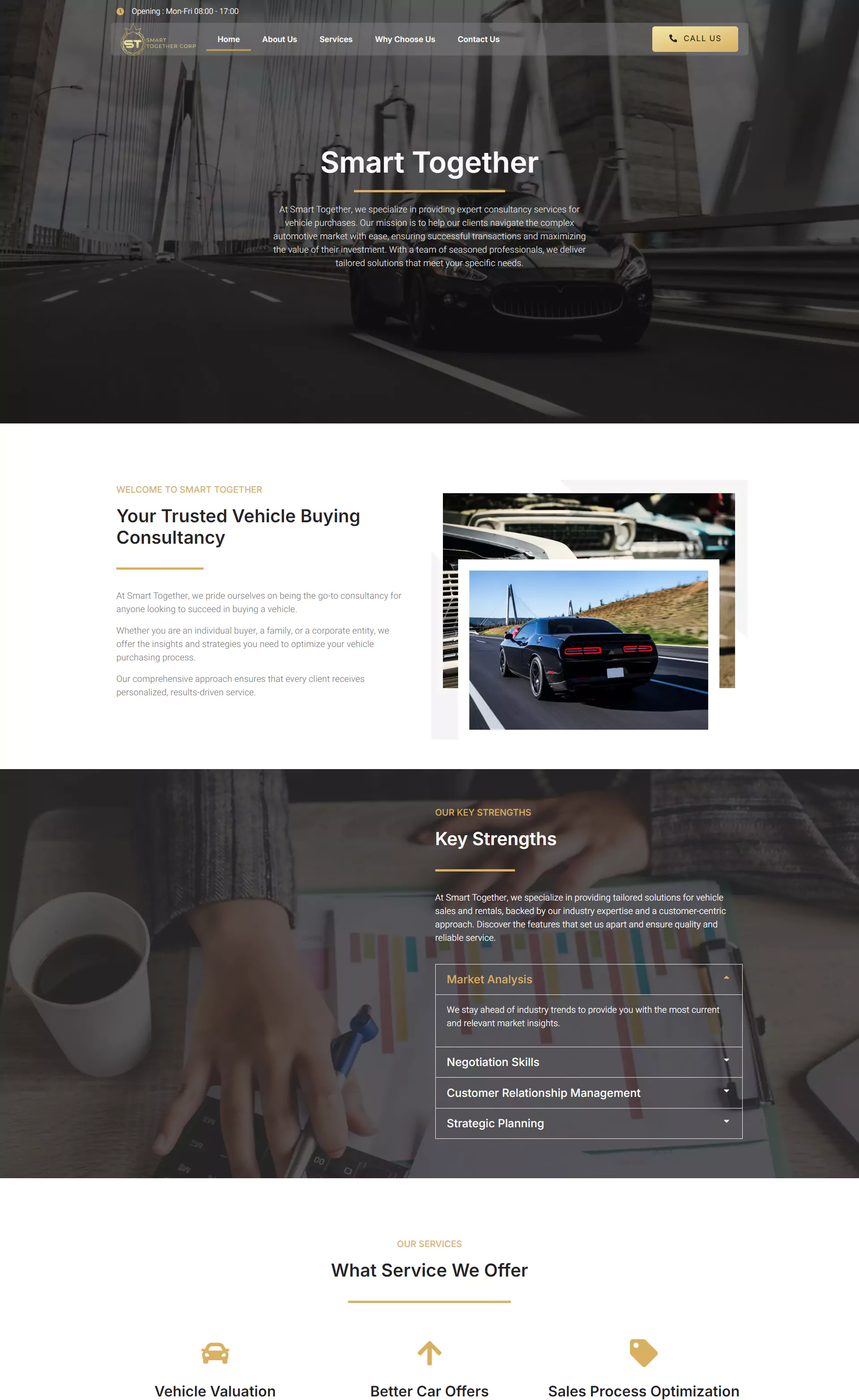 Website Mockup 2