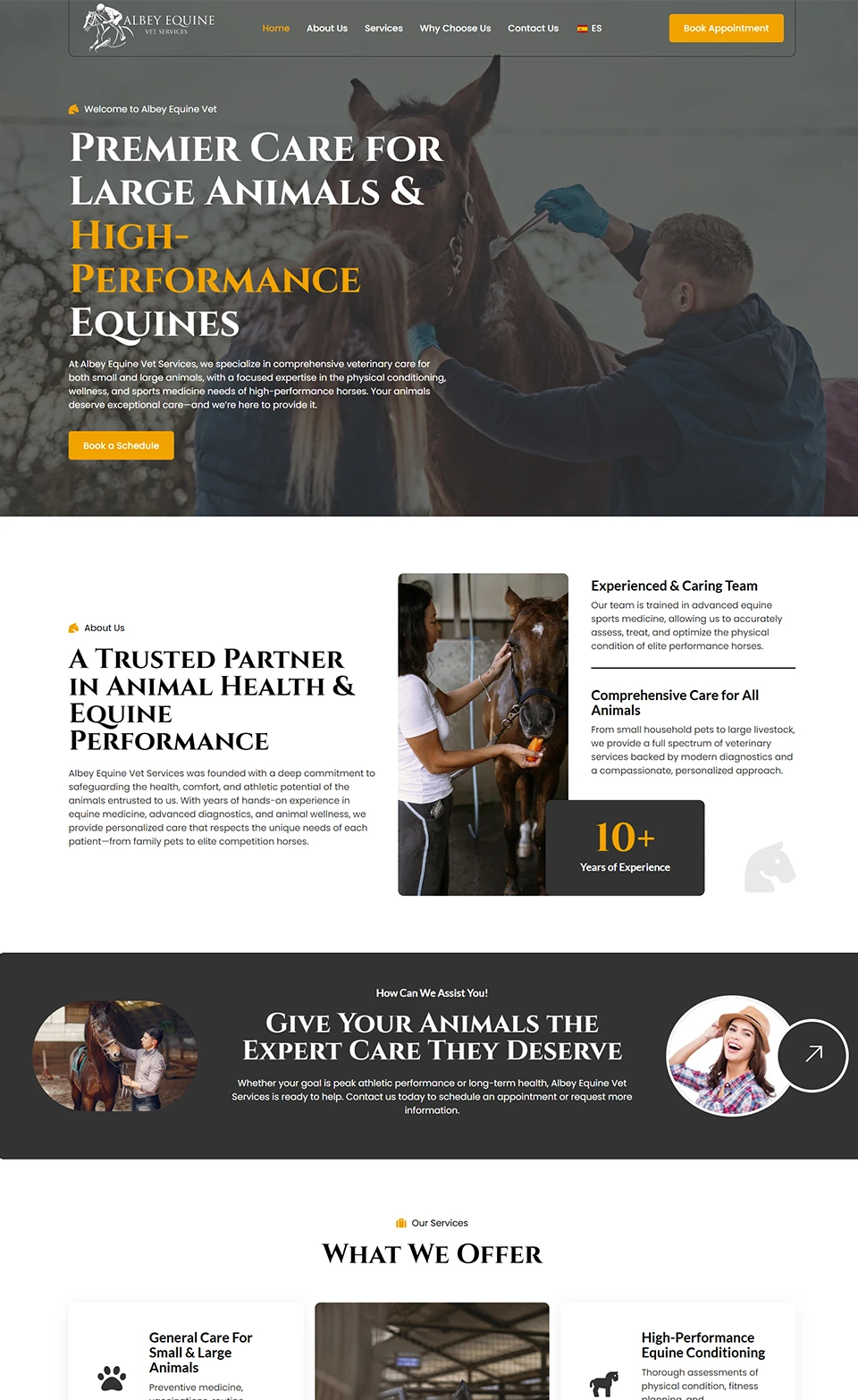 Albey Equine Services