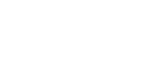 Blevia Insurance Group