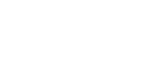 Damalex Bus Services